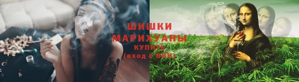 ГАЛЛЮЦИНОГЕННЫЕ ГРИБЫ Алзамай