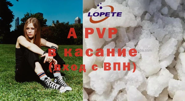 ГАЛЛЮЦИНОГЕННЫЕ ГРИБЫ Алзамай