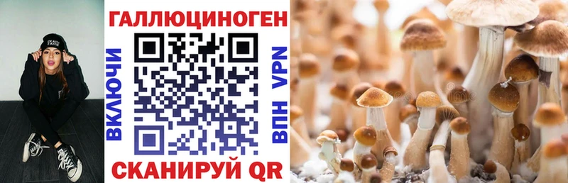 Псилоцибиновые грибы мухоморы  KRAKEN онион  Крым 