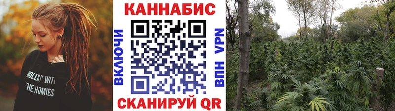 мориарти наркотические препараты  Крым  mega ССЫЛКА  Каннабис тримм  где купить  